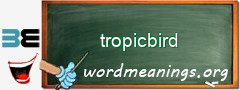 WordMeaning blackboard for tropicbird